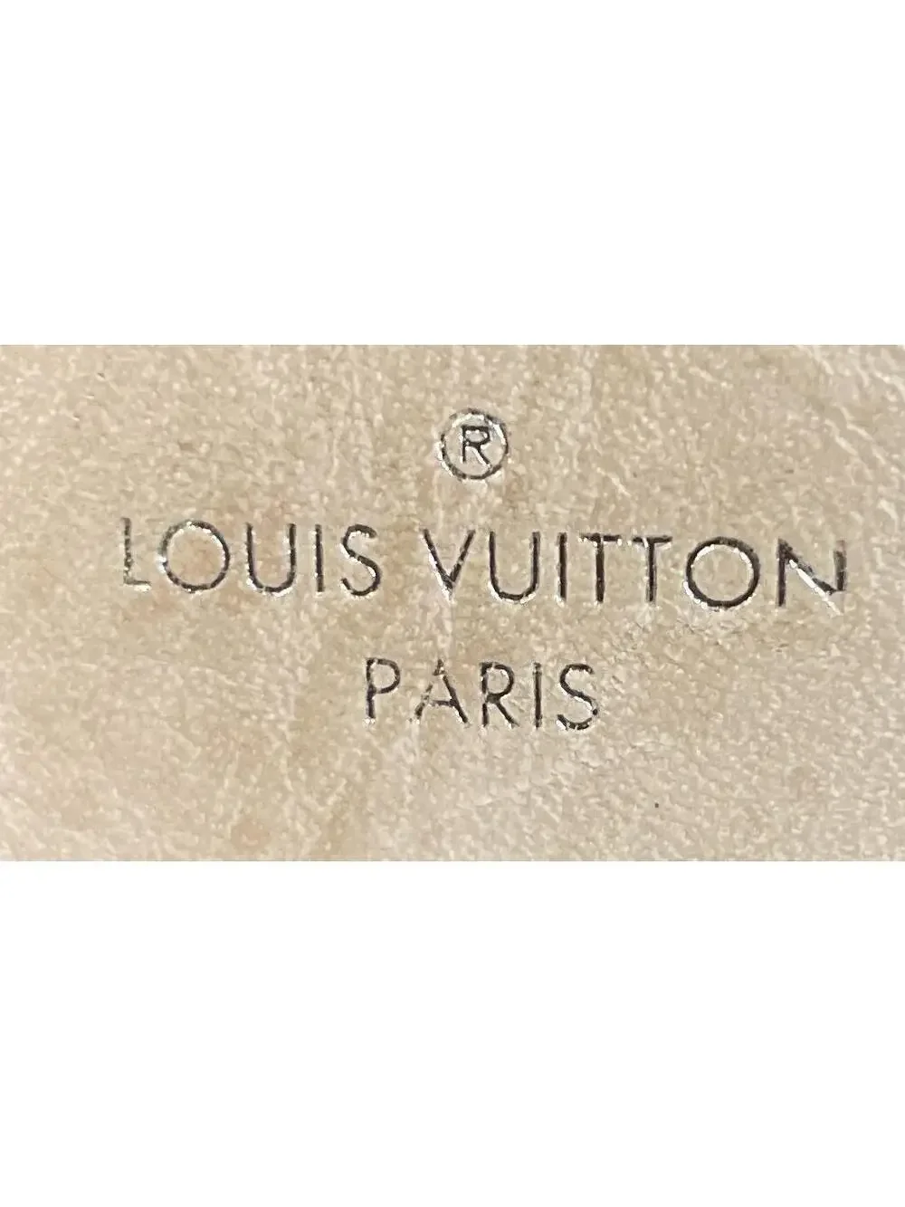 Louis Vuitton Slouchy Handbag Canvas Mm #279279L24B
